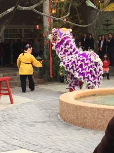 Dancers performing the lion dance for Lunar New Year