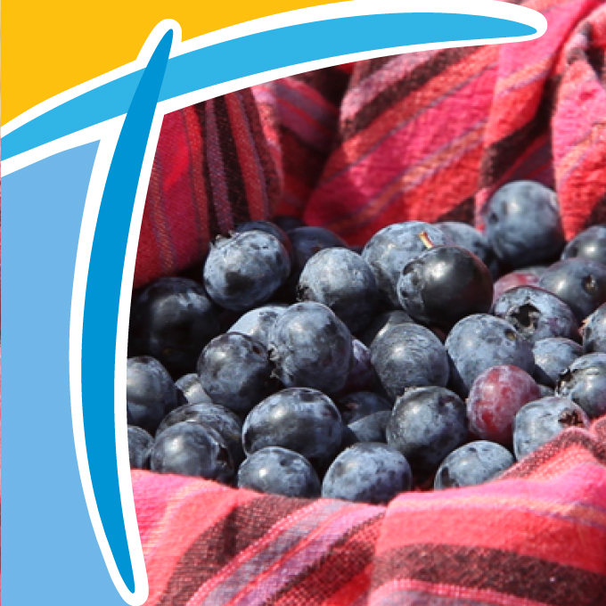 Blueberries, Sunflowers and Goats, Oh, My! Titusville FL Chamber of