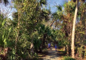 Chain of Lakes near Titusville, Florida offers paved and dirt trails, all suitable for family bike riders.