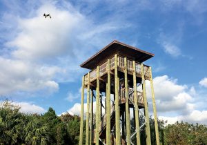 The observation tower in Chain of Lakes in Titusville, Florida offers bikers a osprey-eye view of the area.