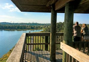 Bikers take a break from riding the trail at Chain of Lakes in Titusville, Florida to enjoy the view from the observation tower.