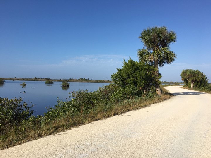 Serenity of Black Point Wildlife Drive Titusville FL Chamber of Commerce