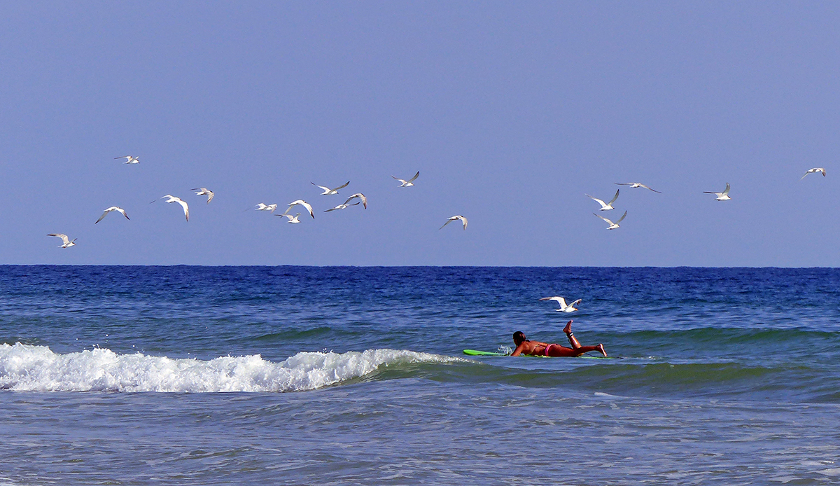 Living Near Water - Titusville FL Chamber of Commerce