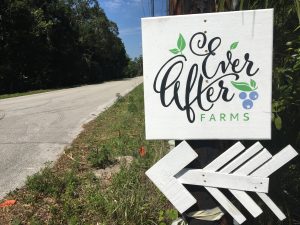 Ever After Sign