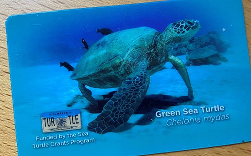 The Sea Turtle Grants Program
