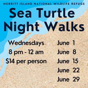 graphic showing dates for Sea Turtle walks