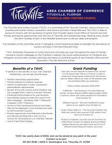 TAVC flyer